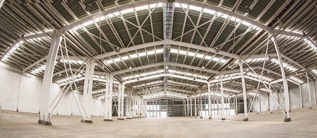 Bodegas plantas libres Bodegas plantas libres